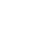 Ligna Consultancy Logo